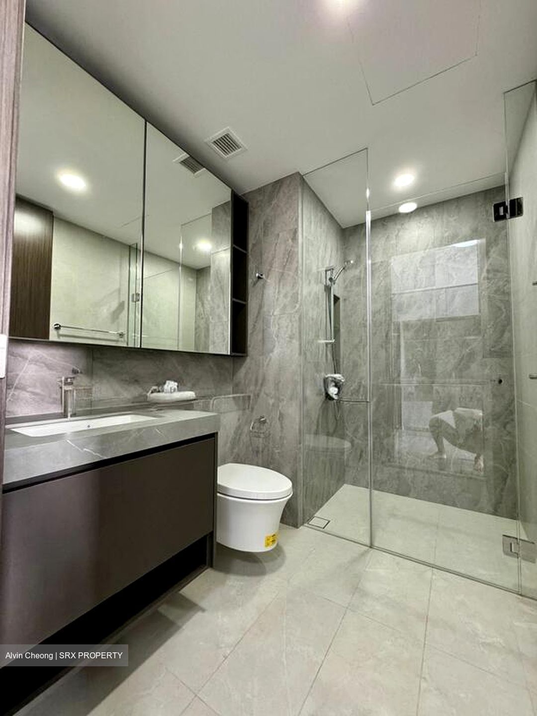 Parc Clematis (D5), Apartment #500931271